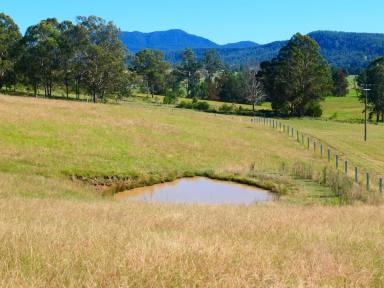 Farm Sold - NSW - Woodenbong - 2476 - RISE AND SHINE  (Image 2)