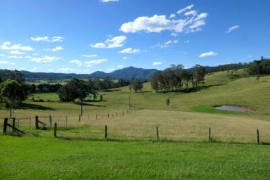 Farm Sold - NSW - Woodenbong - 2476 - RISE AND SHINE  (Image 2)