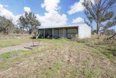Farm Sold - NSW - Koraleigh - 2735 - River Haven - Murray River frontage  (Image 2)