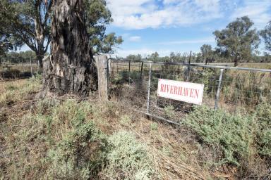 Farm Sold - NSW - Koraleigh - 2735 - River Haven - Murray River frontage  (Image 2)
