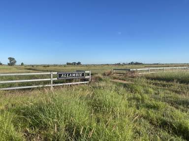 Farm Sold - QLD - Kilcummin - 4721 - "Allambie" Prime Bullock Fattening Country  (Image 2)