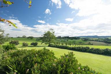 Farm Sold - NSW - Milton - 2538 - Uncover the Idyllic Charm of Country Living  (Image 2)