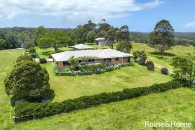 Farm Sold - NSW - Milton - 2538 - Uncover the Idyllic Charm of Country Living  (Image 2)