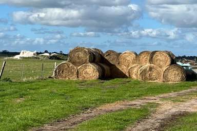 Farm Sold - WA - Youngs Siding - 6330 - PRODUCTIVE LITTLE FARM  (Image 2)