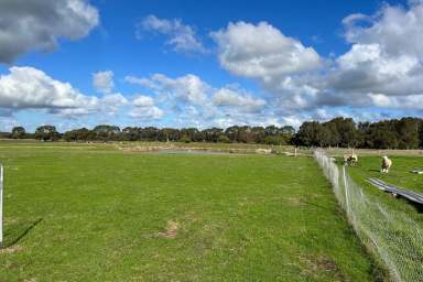 Farm Sold - WA - Youngs Siding - 6330 - PRODUCTIVE LITTLE FARM  (Image 2)