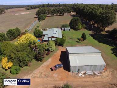 Farm Sold - WA - Dingup - 6258 - DARE TO DREAM - RURAL PARADISE  (Image 2)