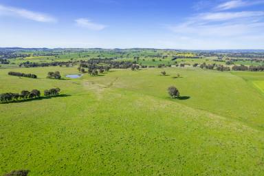 Farm Sold - NSW - Cowra - 2794 - PRIME, ALL ARABLE 264 ACRES*, 10MINS FROM THE CBD WITH A BUILDING ENTITLEMENT!  (Image 2)