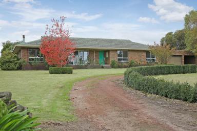 Farm Sold - VIC - Irrewillipe East - 3249 - ATTRACTIVE QUALITY COLAC DISTRICT PROPERTY  (Image 2)