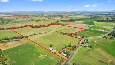 Farm Sold - NSW - Nemingha - 2340 - Rare Opportunity for Upsizers, Downsizers & Farm Developers Alike  (Image 2)