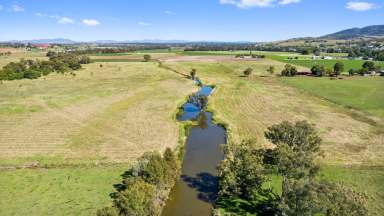 Farm Sold - NSW - Nemingha - 2340 - Rare Opportunity for Upsizers, Downsizers & Farm Developers Alike  (Image 2)