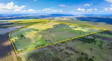 Farm For Sale - VIC - Nurcoung - 3401 - VERSATILE CROPPING & LIVESTOCK COUNTRY - WEST WIMMERA  (Image 2)