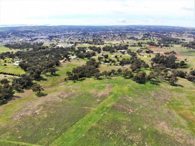 Farm For Sale - NSW - Young - 2594 - ATTENTION GRABBING ACRES  (Image 2)