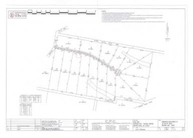 Farm For Sale - NSW - Young - 2594 - ATTENTION GRABBING ACRES  (Image 2)