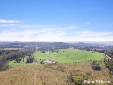 Farm For Sale - NSW - Big Hill - 2579 - Blank Canvas  (Image 2)