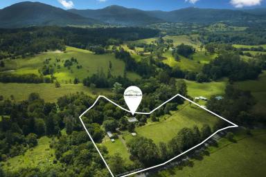 Farm Sold - NSW - Nimbin - 2480 - Perfect Self-Sufficient Hobby Farm – Look No Further!  (Image 2)