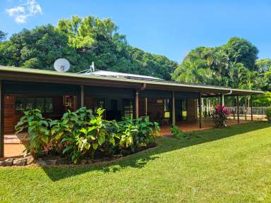 Farm For Sale - QLD - Cooktown - 4895 - Large House, with 4 Bay Shed, Pool on 2 Acres  (Image 2)