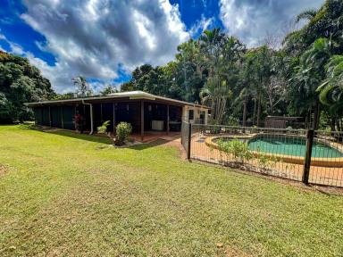 Farm For Sale - QLD - Cooktown - 4895 - Lifestyle Property  (Image 2)