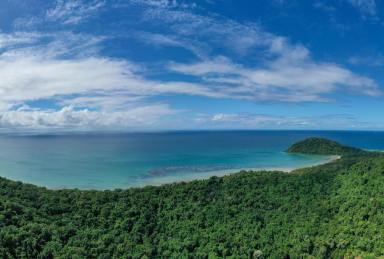 Farm For Sale - QLD - Daintree - 4873 - Breathtaking views of the Great Barrier Reef | Priced to Sell!  (Image 2)