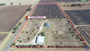 Farm Sold - VIC - Mundoona - 3635 - Self Sufficient Country Living  (Image 2)