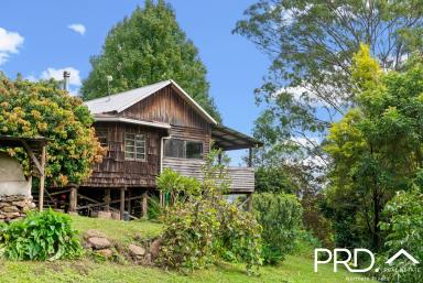 Farm Sold - NSW - Larnook - 2480 - 4 BED CRAFTED TIMBER HOME + STUDIO IN ENVIROMENTALLY FRIENDLY COMMUNITY  (Image 2)