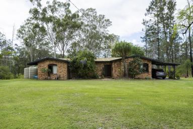 Farm Sold - NSW - Nymboida - 2460 - Peace & Tranquil Setting  (Image 2)