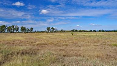 Farm Sold - QLD - Prospect - 4715 - Callide Valley Rural Enterprise  (Image 2)