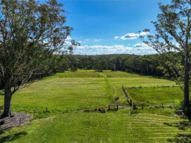 Farm Sold - NSW - Woollamia - 2540 - Acreage Living close to Jervis Bay  (Image 2)