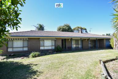 Farm Sold - NSW - Inverell - 2360 - RURAL LIVING ON THE EDGE OF TOWN  (Image 2)