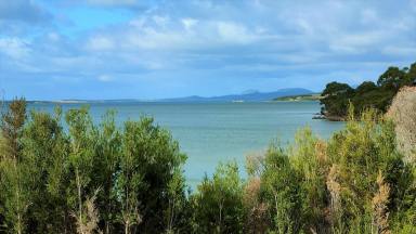 Farm Sold - TAS - Lady Barron - 7255 - Picture this on 99 Acres  (Image 2)