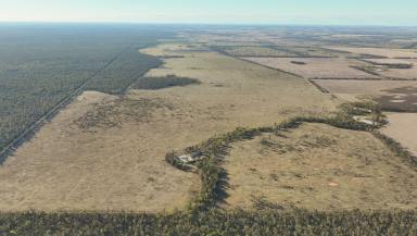 Farm Sold - QLD - Moraby - 4416 - East of Roma - Central to Condamine Feedlots  (Image 2)