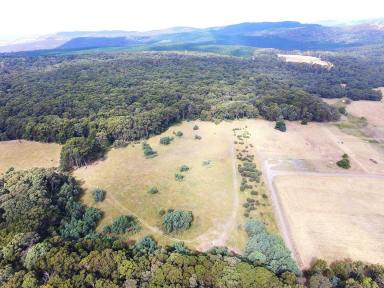Farm For Sale - VIC - Boho South - 3669 - The Perfect Escape ~ 105 acres of Nature’s Own  (Image 2)