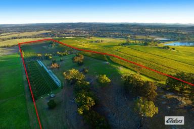 Farm Sold - VIC - Faraday - 3451 - A RARE OFFERING OF ONE OF THE REGIONS MOST SPECTACULAR LIFESTYLE ALLOTMENTS – 40 HA  (Image 2)