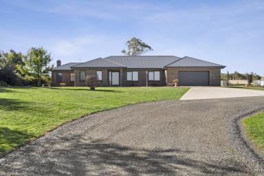 Farm Sold - NSW - Crookwell - 2583 - Welcome to "Willoughby".  (Image 2)