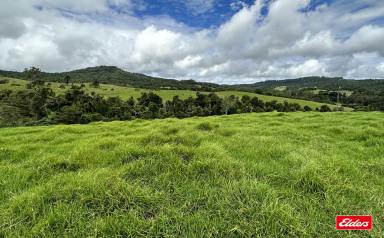 Farm Auction - QLD - Crediton - 4757 - Moving to the city  (Image 2)