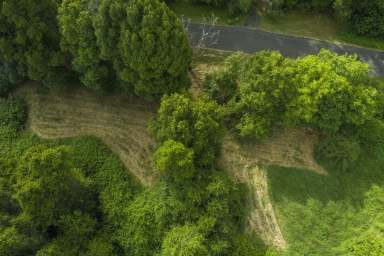 Farm Sold - NSW - Nimbin - 2480 - UNDER CONTRACT  (Image 2)