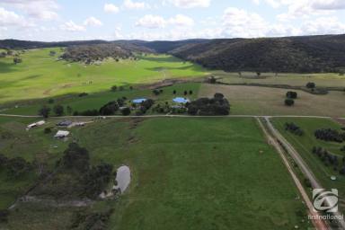 Farm Sold - VIC - Wooragee - 3747 - THE COUNRTY LIFE WITH AMAZING VIEWS  (Image 2)