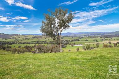 Farm For Sale - VIC - Barnawartha North - 3691 - FAWN OVER THESE VIEWS!  (Image 2)