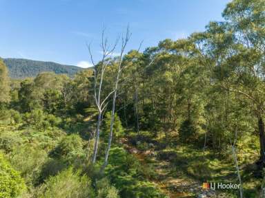 Farm For Sale - NSW - Bemboka - 2550 - WHERE NATURE MEETS SERENITY!  (Image 2)