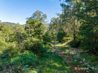 Farm For Sale - NSW - Bemboka - 2550 - WHERE NATURE MEETS SERENITY!  (Image 2)