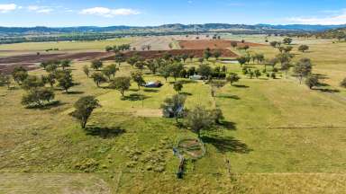 Farm Sold - NSW - Klori - 2346 - Highly Sought After Lifestyle Property  (Image 2)