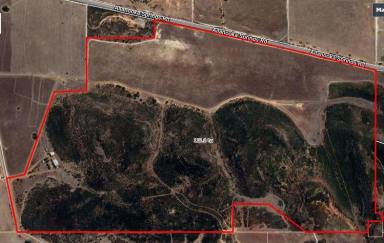 Farm For Sale - WA - Mount Hill - 6528 - Motivated Seller - Price Reduced  (Image 2)