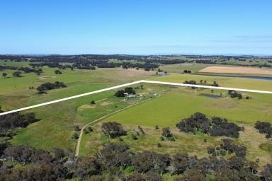 Farm Sold - NSW - Lyndhurst - 2797 - FAMILY HOME ON 37AC* + VACANT 40AC* (BUY ONE OR BOTH 77AC*)  (Image 2)