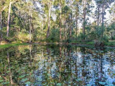 Farm Sold - NSW - Ashby Heights - 2463 - 40 Hectare Family Farm  (Image 2)