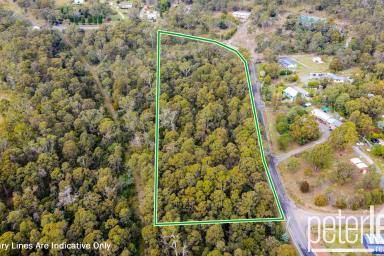 Farm For Sale - TAS - Hillwood - 7252 - Five acre block in Hillwood  (Image 2)