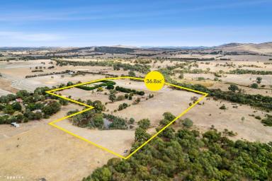 Farm Sold - VIC - Denicull Creek - 3377 - 36 Acre Lifestyle Property within 10 minutes of town!  (Image 2)