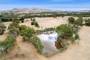 Farm Sold - VIC - Denicull Creek - 3377 - 36 Acre Lifestyle Property within 10 minutes of town!  (Image 2)