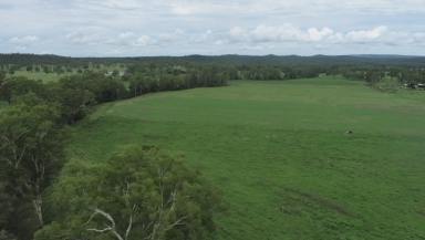 Farm For Sale - QLD - Moonford  - 4630 - Rural, Irrigated Crops and Grazing  (Image 2)