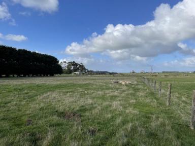 Farm For Sale - VIC - Cobden - 3266 - Room To Build Your Dream Home  (Image 2)