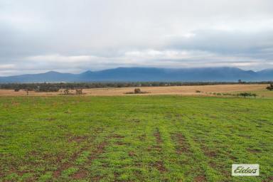 Farm For Sale - VIC - Moyston - 3377 - 'Herbertsons' 597 Acres Cropping/Grazing - Moyston/Willaura District  (Image 2)