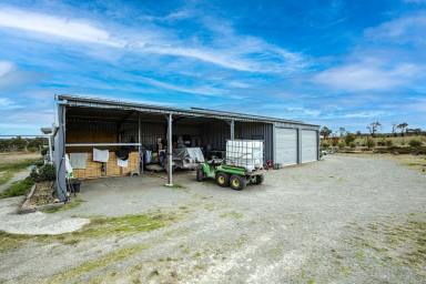 Farm Sold - NSW - Bungonia - 2580 - BEAUTIFUL 100 ACRES,  3BR COTTAGE, WORKSHOP, SHED, OFFICE, A PERFECT HOME IN THE COUNTRY  (Image 2)